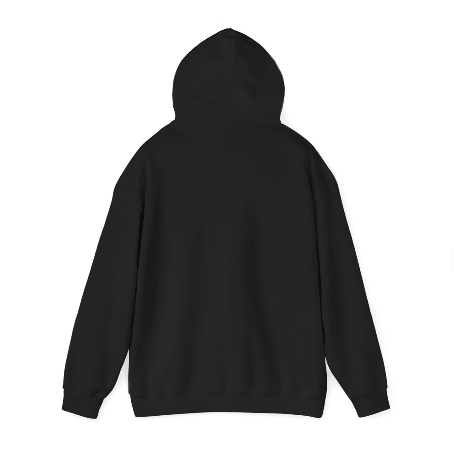 She’s From Texas Hoodie | Lone Star, Southern Cowgirl Pride